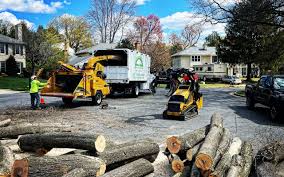 Best Tree Planting Services  in Old Tappan, NJ